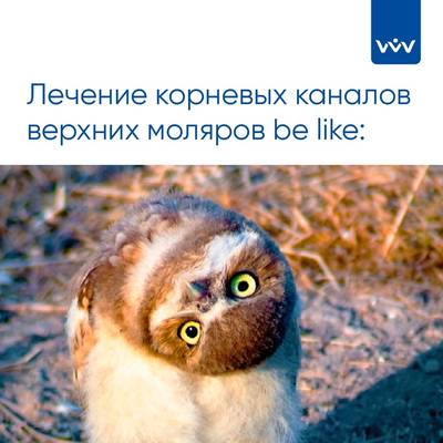 Мем